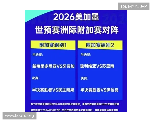 2023年世界杯球队排名全景图，揭示各大强队排名变动背后原因