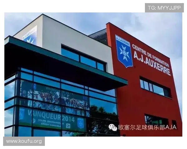 球友会体育千亿:体育产业资本布局与投资策略,为企业提供实用的参考建议