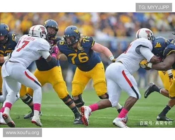 球友体育电脑版免费下载，轻松体验多样体育赛事直播与互动交流