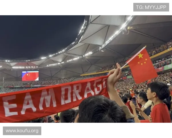 中国足球世界杯预选赛回放高清完整版，精彩比赛精彩瞬间全场回放