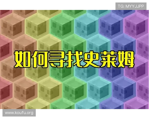 人人看球集团网址最新入口全面解析，提供最全的官方平台导航指南